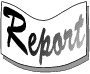 Report icon